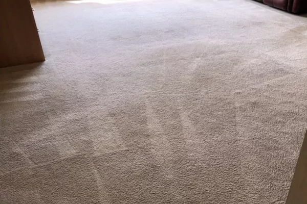 Importance of Carpet Cleaning Before Holidays