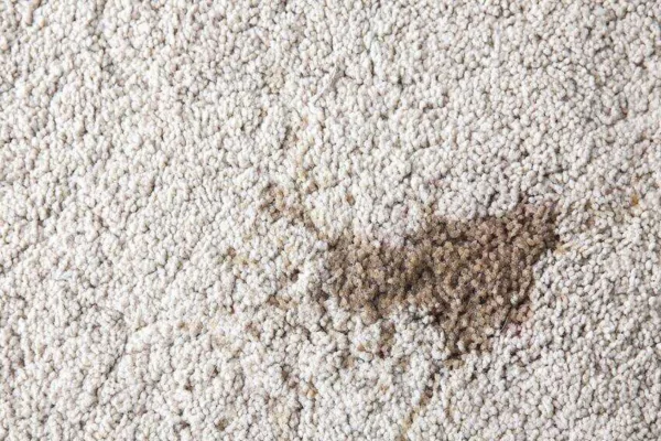 Ways to Remove Old Stains from Carpets Before Holidays